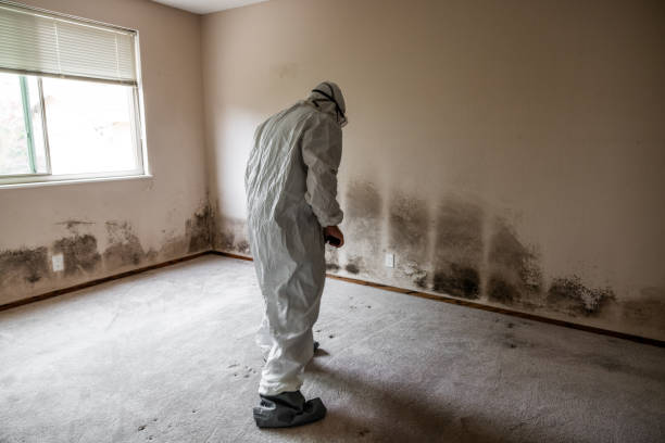 Best Residential Mold Inspection & Testing  in Scissors, TX